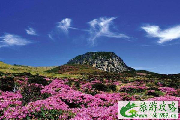 2月起韩国济州岛汉拿山登山预约链接和路线