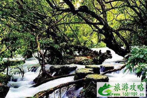 将夜书院取景地在哪里和景点推荐