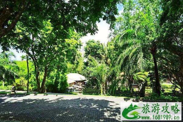 2020现在去巴厘岛旅游中国游客受影响吗 2020现在去巴厘岛旅游中国游客受影响吗