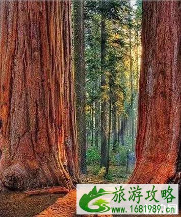 美国加州旅游著名景点推荐