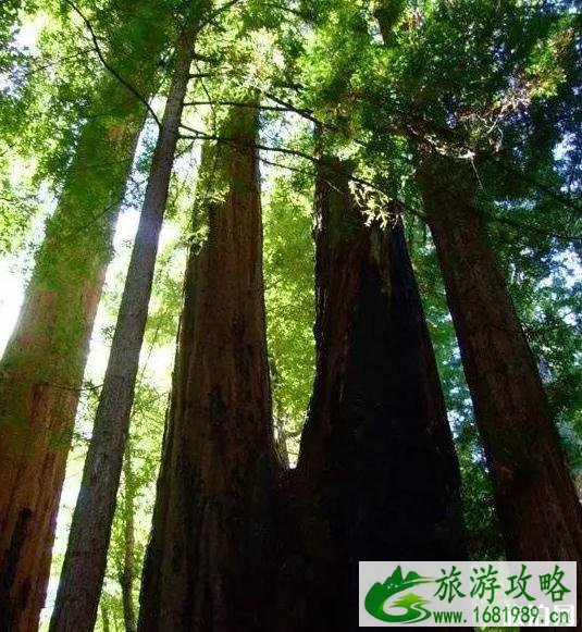 美国加州旅游著名景点推荐