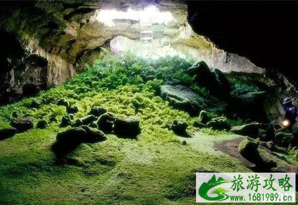美国加州旅游著名景点推荐