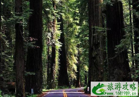 美国加州旅游著名景点推荐