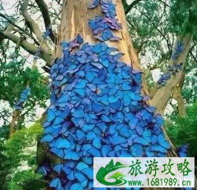 美国加州旅游著名景点推荐