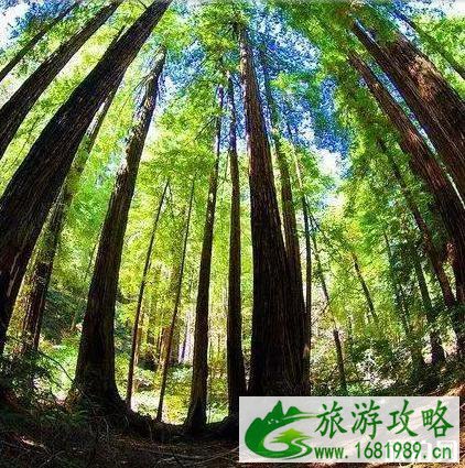 美国加州旅游著名景点推荐