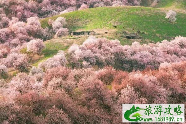 2020旅游时间表汇总 2020旅游时间表汇总
