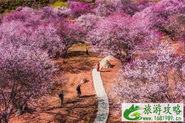 2020旅游时间表汇总 2020旅游时间表汇总