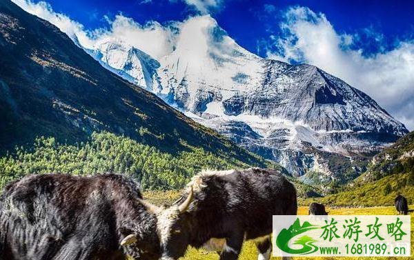 2020旅游时间表汇总 2020旅游时间表汇总