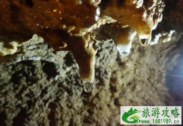 国内有名的溶洞有哪些值得去 国内有名的溶洞有哪些值得去