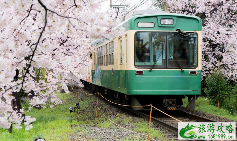 3月份去日本有樱花看吗 日本樱花观赏月份和地点推荐