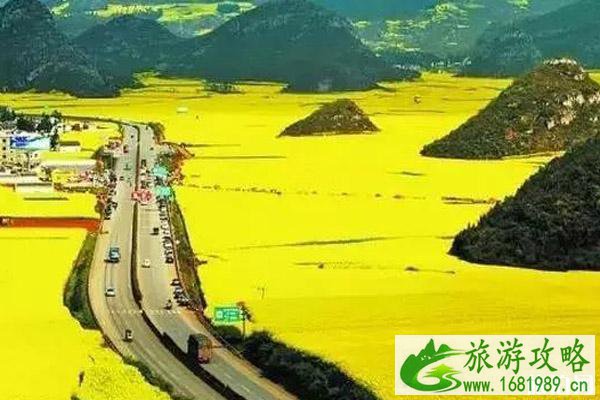 春季去哪里赏花 春季赏花景点推荐