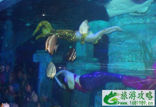 2020石家庄动物园海洋馆门票多少钱-优惠政策 2020石家庄动物园海洋馆门票多少钱-优惠政策