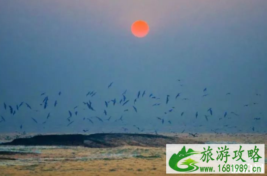 春节哪些地方适合一个人旅行