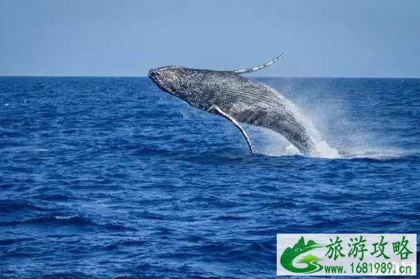 2020年有哪些免签证国家值得游玩 2020年有哪些免签证国家值得游玩
