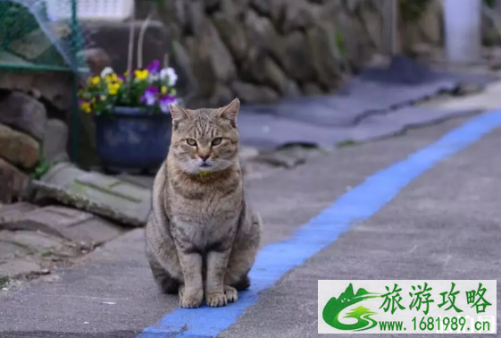 日本松山三日自助游攻略及路线