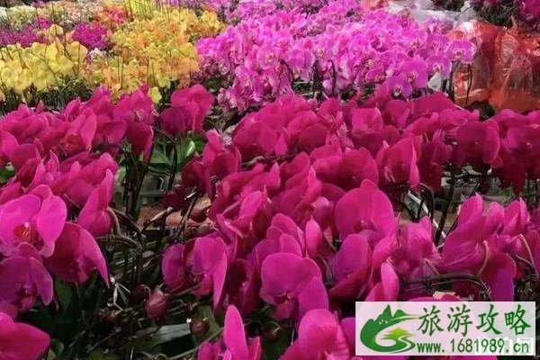 2020年北京年货大集一览 2020年北京年货大集一览