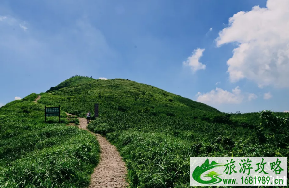 春节深圳周边游推荐地 地点以及门票
