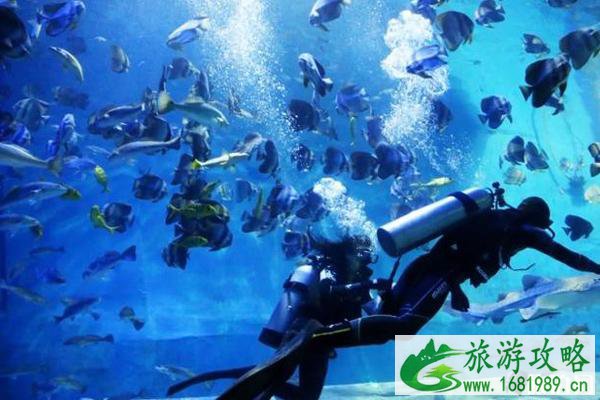 2020年春节广州景点优惠政策