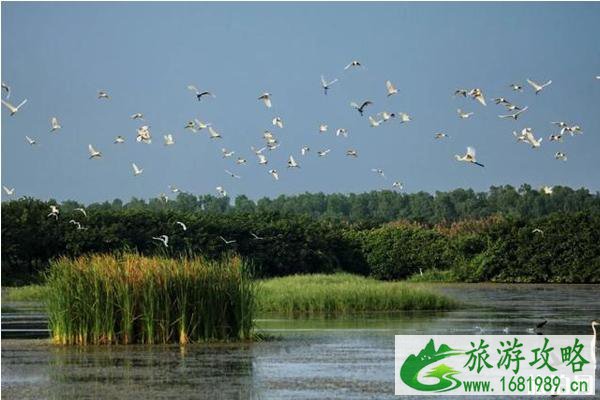 2020年春节广州景点优惠政策