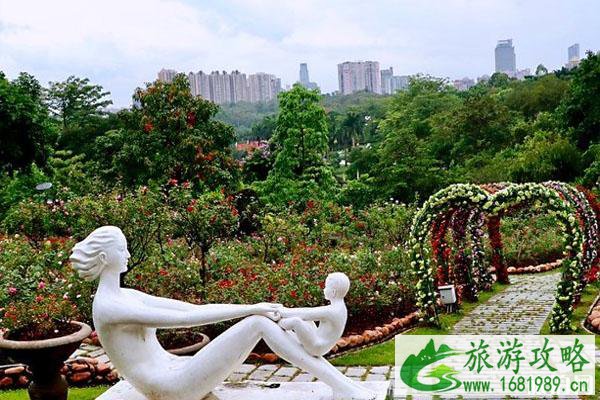 2020云台花园郁金香花展什么时候开始