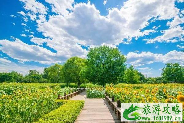 北京适合周末去玩的地方 北京有哪些景点适合周末游玩 北京适合周末去玩的地方 北京有哪些景点适合周末游玩