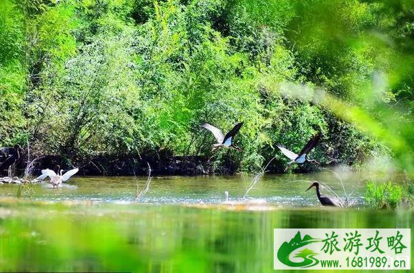 北京适合周末去玩的地方 北京有哪些景点适合周末游玩 北京适合周末去玩的地方 北京有哪些景点适合周末游玩