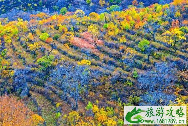 北京适合周末去玩的地方 北京有哪些景点适合周末游玩 北京适合周末去玩的地方 北京有哪些景点适合周末游玩