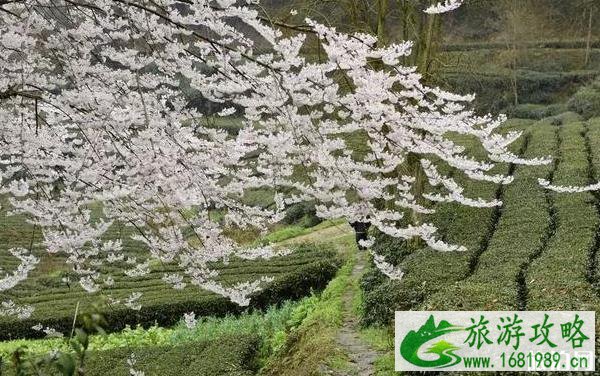 北京适合周末去玩的地方 北京有哪些景点适合周末游玩 北京适合周末去玩的地方 北京有哪些景点适合周末游玩