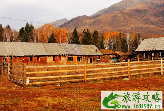 2020年春节旅游应该去哪些地方游玩