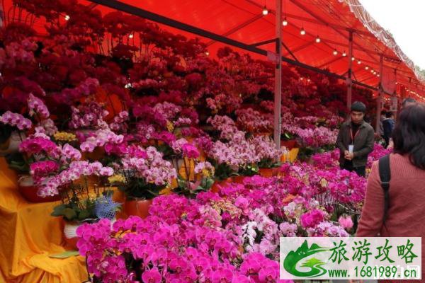 2020深圳大鹏新区迎春花市时间地点+游览路线+活动信息