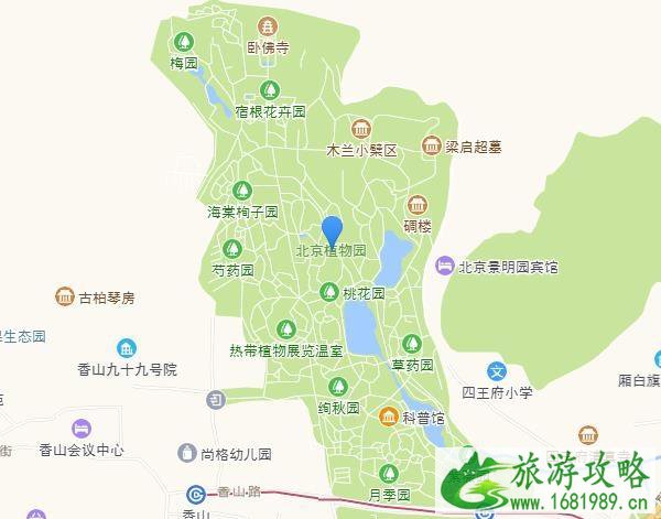 2020北京植物园冰上乐园价格多少钱+开放时间+地址交通 2020北京植物园冰上乐园价格多少钱+开放时间+地址交通