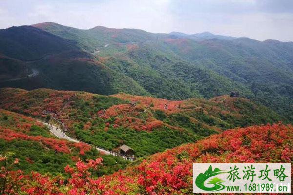 大围山国家森林公园门票+游玩指南
