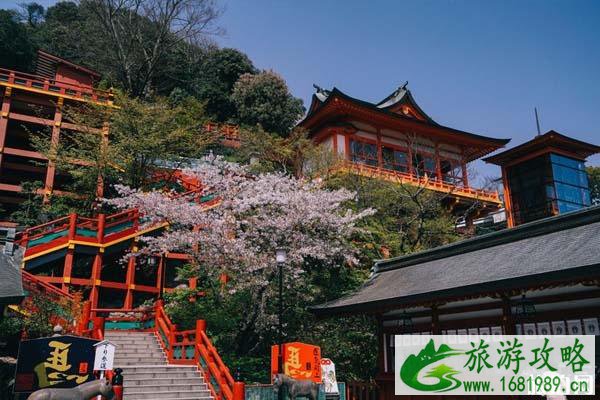 日本有哪些神社