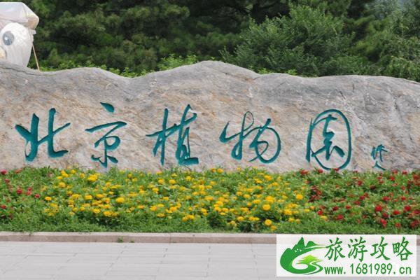 北京植物园地铁几号线 北京植物园地铁哪站下 北京植物园地铁几号线 北京植物园地铁哪站下