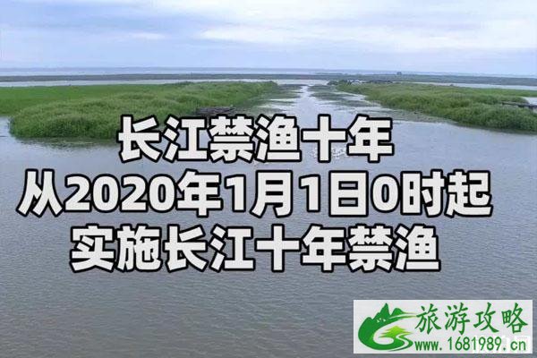 2020长江十年禁渔利弊 中华白鲟宣告灭绝 2020长江十年禁渔利弊 中华白鲟宣告灭绝