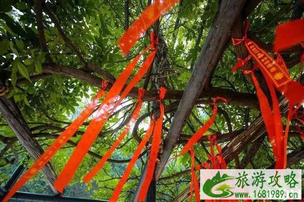 2020牛首山跨年是否免费 2020牛首山跨年祈福活动时间+活动介绍