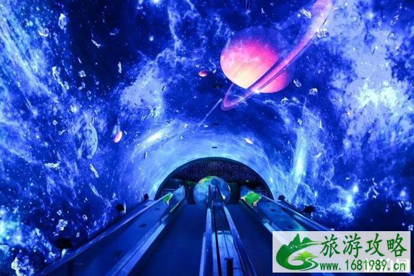 2022广州正佳极地海洋世界圣诞活动（优惠+门票+游玩项目）