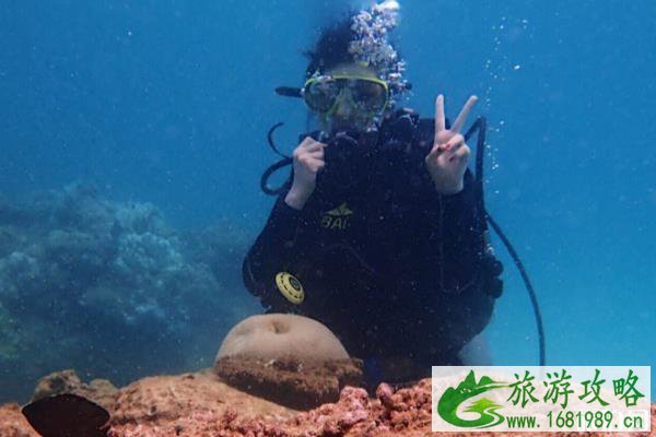 越南潜水自由行攻略