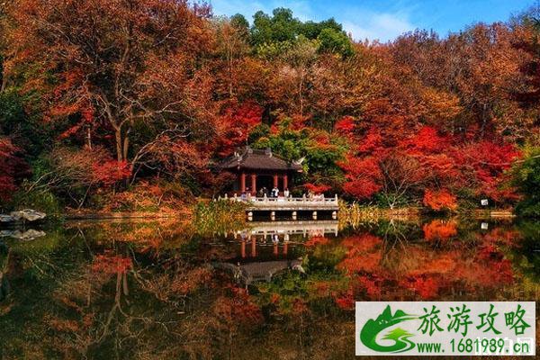 南京最佳旅游时间 南京风景好的地方