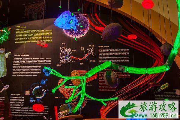 中国科技馆2020节假日开放时间一览 中国科技馆2020节假日开放时间一览