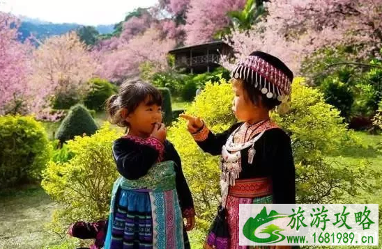 泰国有哪些清秀的旅行地