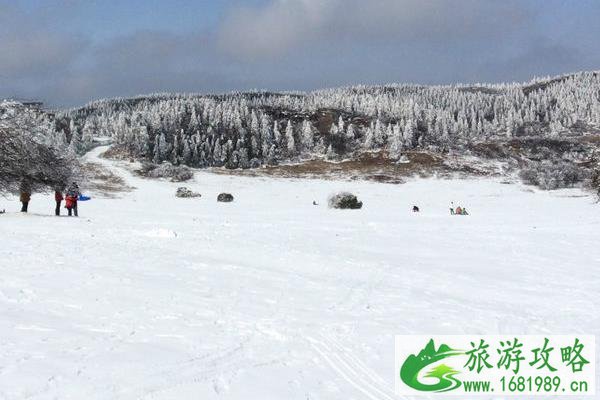 仙女山国家森林公园天气什么时候下雪 仙女山国家森林公园天气什么时候下雪