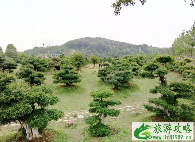 藏龙岛湿地公园游玩攻略 藏龙岛国家湿地公园地址+门票+交通 藏龙岛湿地公园游玩攻略 藏龙岛国家湿地公园地址+门票+交通