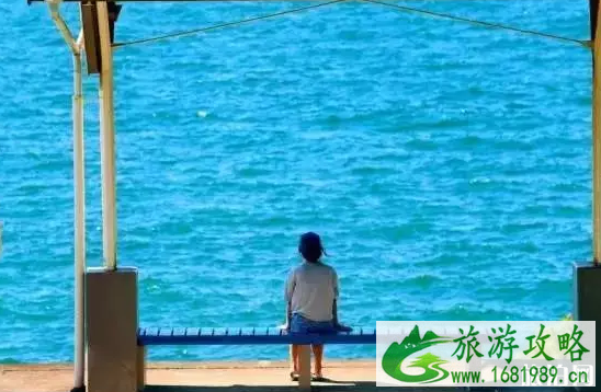 日本有哪些美丽的车站可以看海