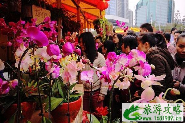 2020年广州迎春花市时间+花市详情+交通(南沙区+白云区) 2020年广州迎春花市时间+花市详情+交通(南沙区+白云区)