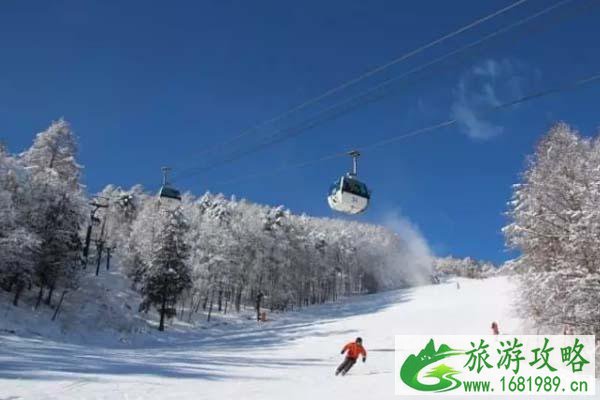 东京滑雪场推荐 东京有哪些滑雪场