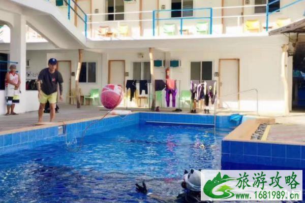 菲律宾PADI潜水证OW+AOW考证攻略