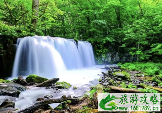 日本景点推荐 日本有哪些景点适合雨季去旅游