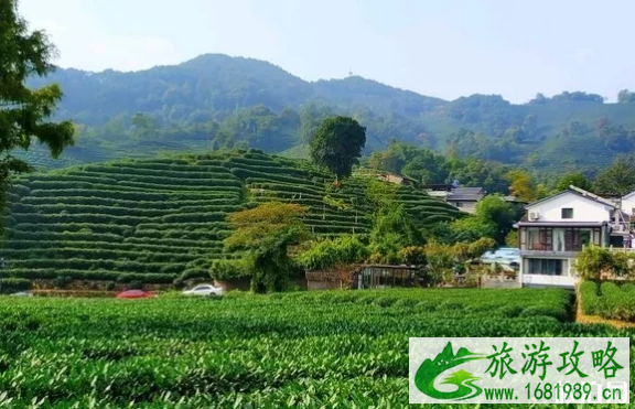 国内哪些地方适合穷游