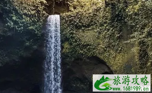 去巴厘岛旅游是跟团去还是自由行哪个比较好